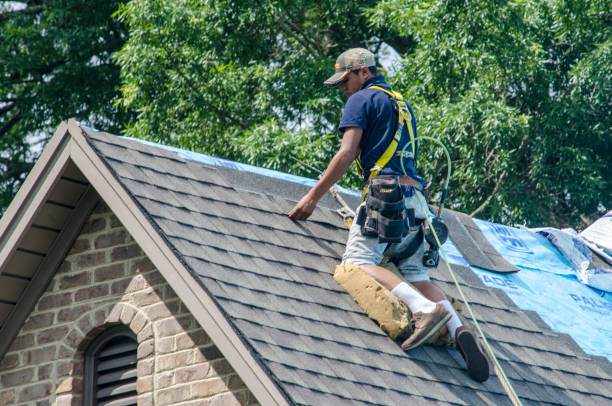 Roof Gutter Cleaning in Berwyn, PA